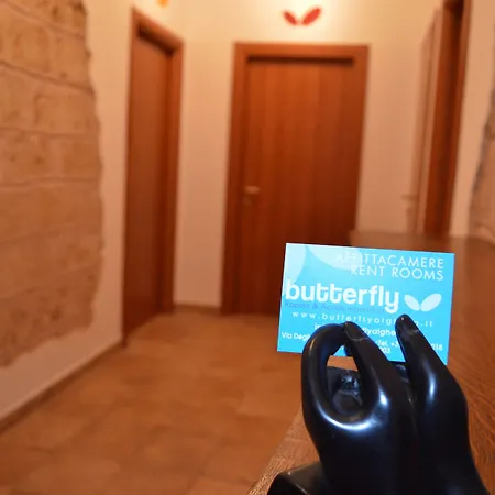 Butterfly 4* Αλγκέρο