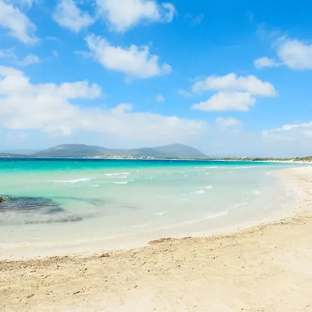 Butterfly Πανσιόν Αλγκέρο