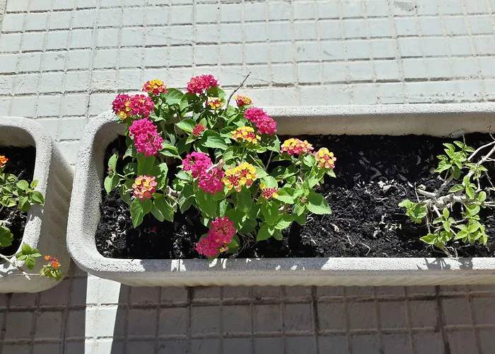 Butterfly Vendégház Alghero